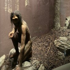 American Museum of Natural History